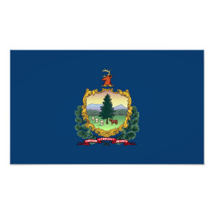 Vermont State Flag Photo Print