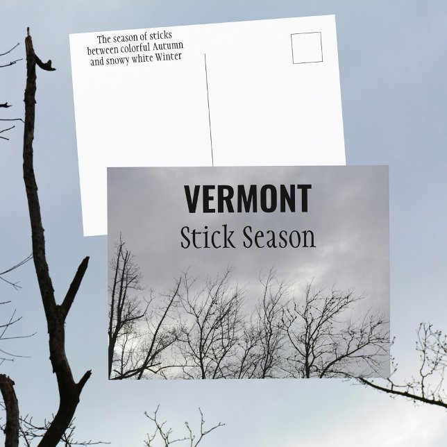 Vermont Stick Season New England Photographic Postcard (Creator Uploaded)
