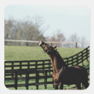 Vermont, USA 2 Square Sticker