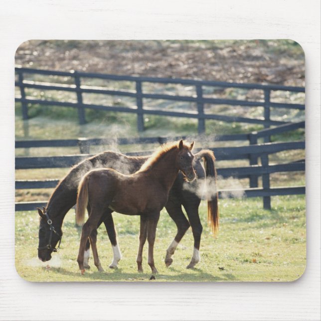 Vermont, USA Mouse Pad (Front)