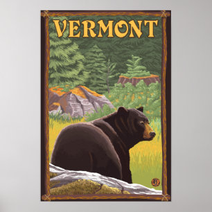 VermontBlack Bear in Forest Poster