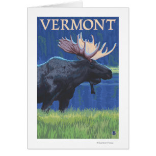 VermontMoose in the Moonlight