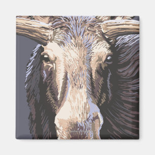 VermontMoose Up Close Magnet
