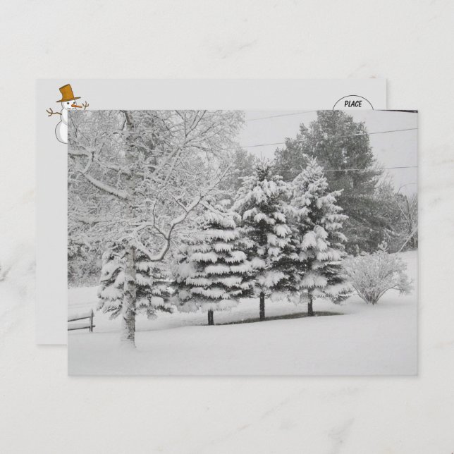 Vermont's Snowy Winter in B&W Postcard (Front/Back)