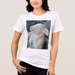 Vern the Prince of a  Lamb Riding Shotgun  Tri-Blend Shirt