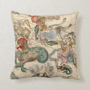 Vernal Equinox Cushion
