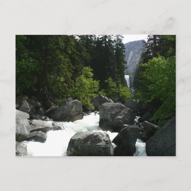 Vernal Falls in the Distance at Yosemite Postcard (Front)