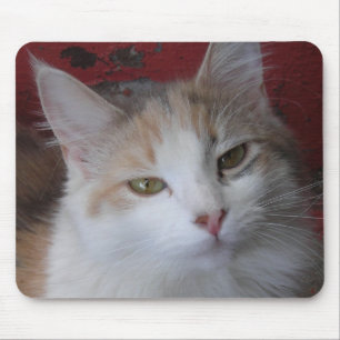 Veronica the beautiful -Mousepad Mouse Pad