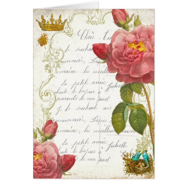 Versailles Marie Antoinette Garden Roses (Front)