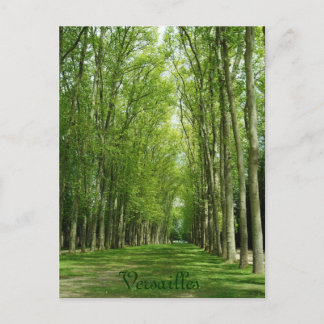 Versailles Trees Gardens Romantic Path France Postcard