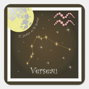 Verseau 21 janvier au 18 février sticker