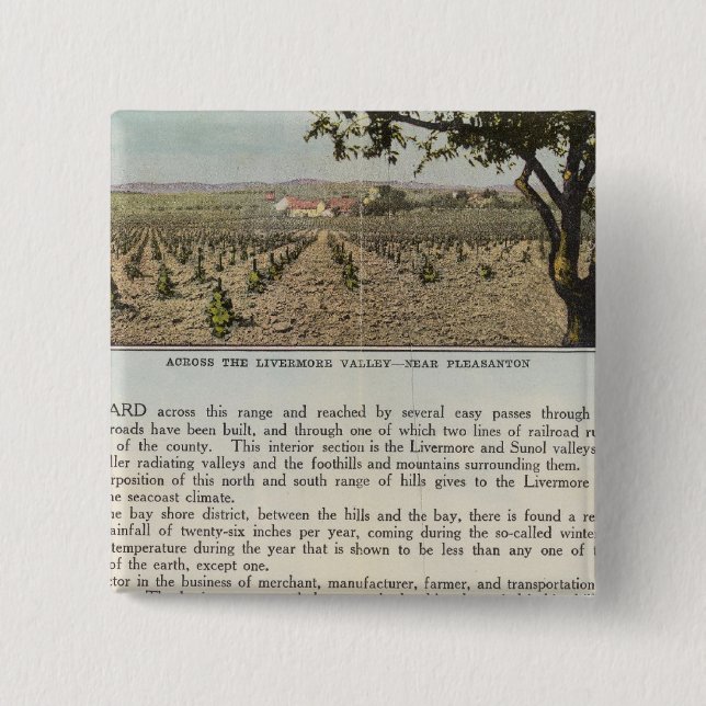 Verso Alameda County 15 Cm Square Badge (Front)