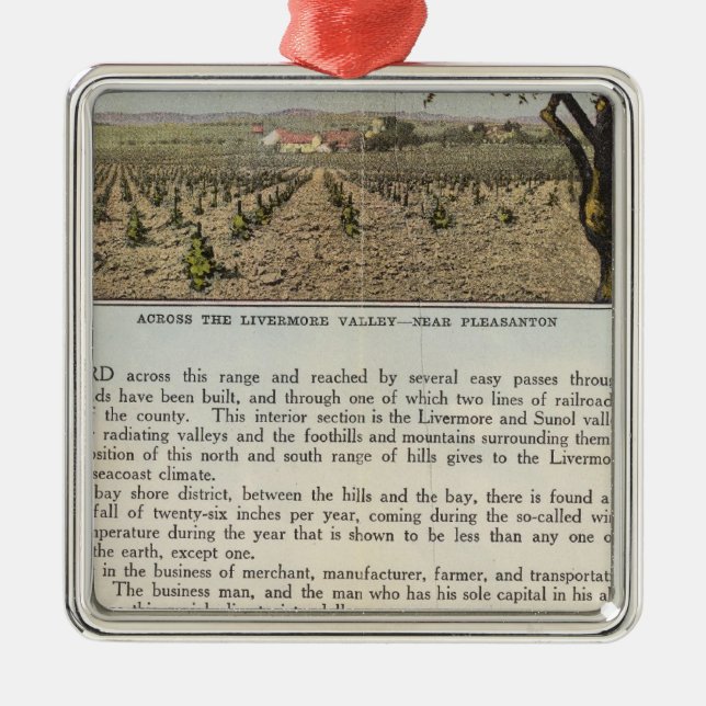 Verso Alameda County Metal Tree Decoration (Front)