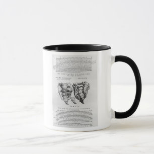 Vertebrae, Cocyx (b/w print) Mug