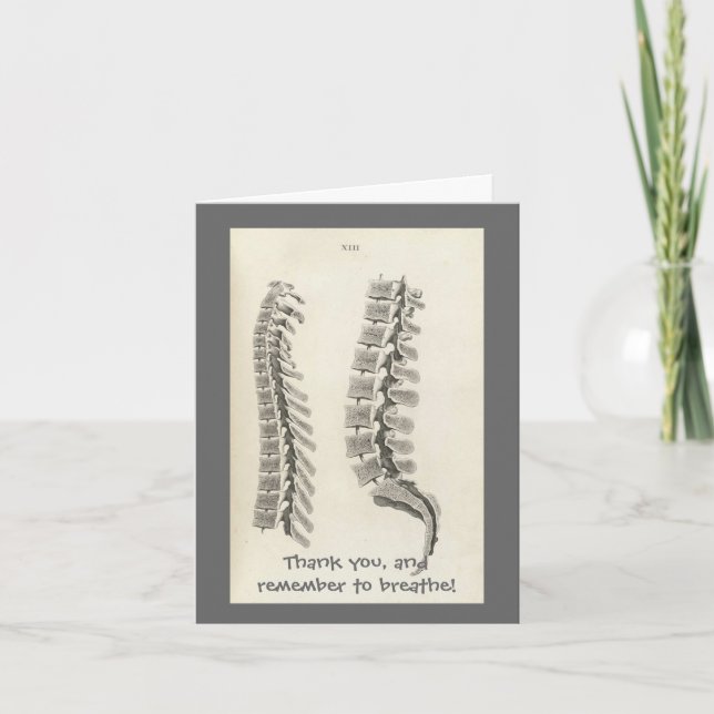 Vertebrae Drawing Thank You Card (Front)