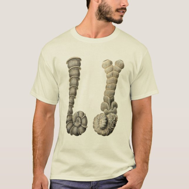 Vertebralina T-Shirt (Front)