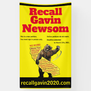 Vertical 3ft x 5ft recallgavin2020 banner