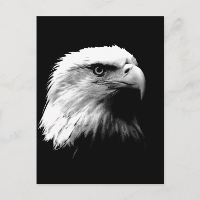 Vertical Black & White Bald Eagle Postcard (Front)