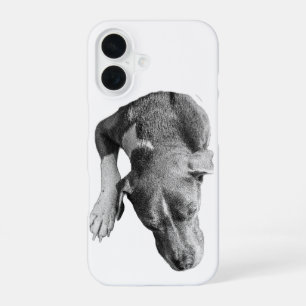 Vertical Crop—Head & Paw iPhone 16 Case