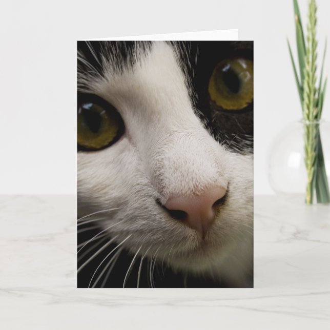 Vertical Greeting Card: Mickey the Cat Card (Front)