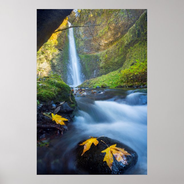 Vertical panorama view of Tunnel Falls Poster (Front)