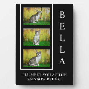 Vertical Pet Memorial Layout with Photo Trio Plaque