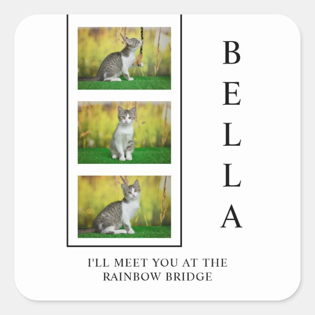 Vertical Pet Memorial Layout with Photo Trio Square Sticker (Front)