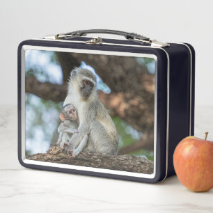 Vervet Monkey – African Wildlife Portrait Metal Lunch Box
