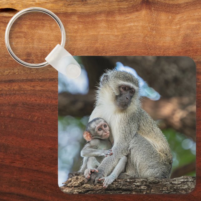 Vervet Monkey, Gentle Nature Key Ring (Front)