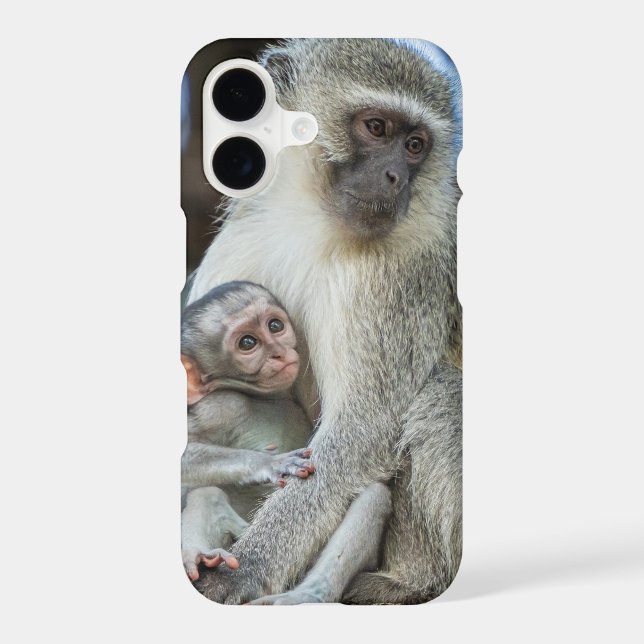 Vervet Monkey Hugging (Back)