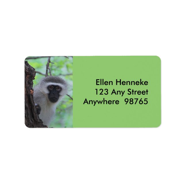 Vervet Monkey Label (Front)