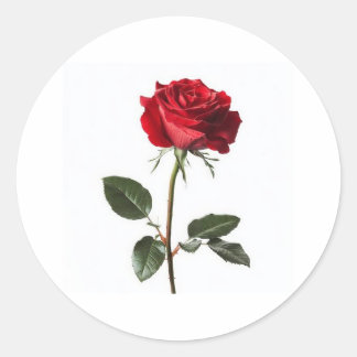 Very beautiful, 👍 nice design classic round sticker