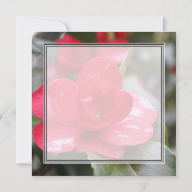 Very beautiful spring, summer pink azalea flower. (Front)