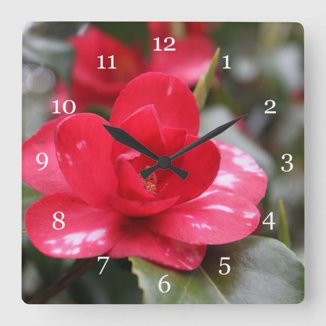 Very beautiful spring, summer pink azalea flower, square wall clock (Front)