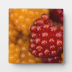 Very Berry Plaque
