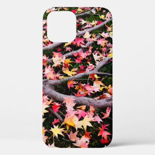 Very Colourful Maple Leaves iPhone 12 Case