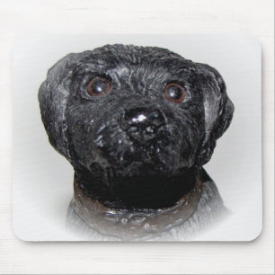 Very Cool Black Lab Mouse Pad