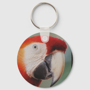 Very Cool Parrot Keychain