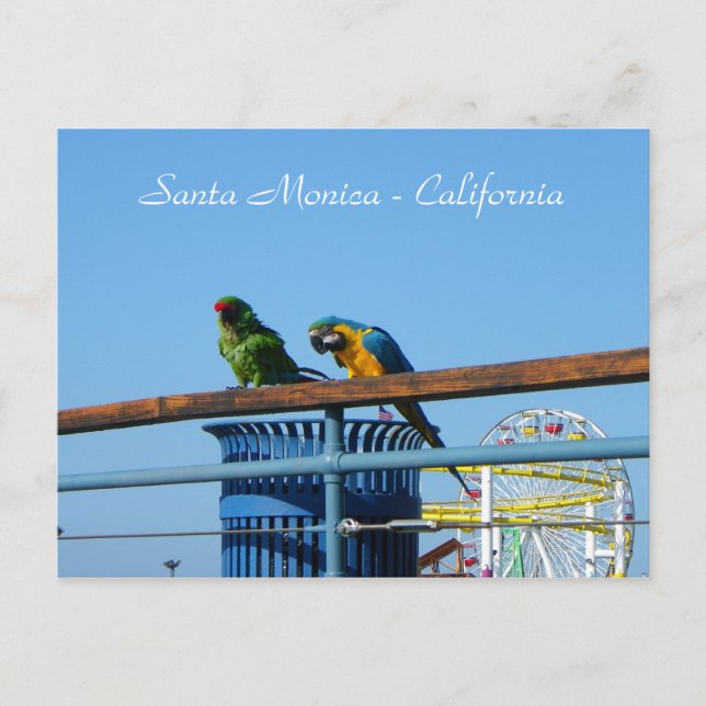 Very Cool Santa Monica Postcard! Postcard (Front)