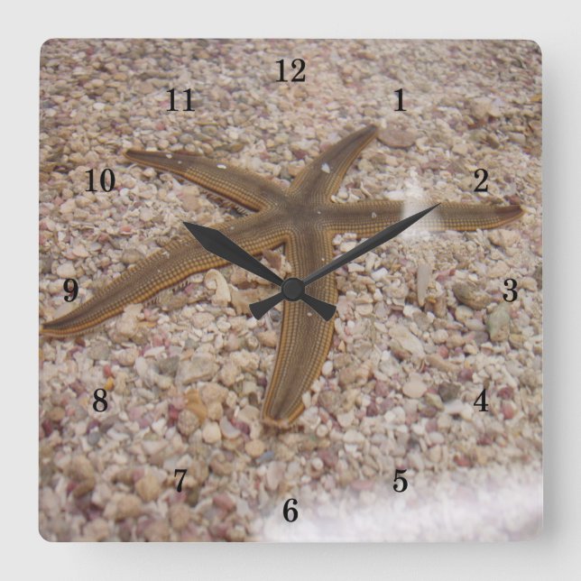 Very Cool Starfish Wall Clock (Front)