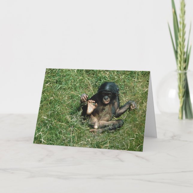 Very Cute Baby Bonobo Ape Greeting Card (Front)