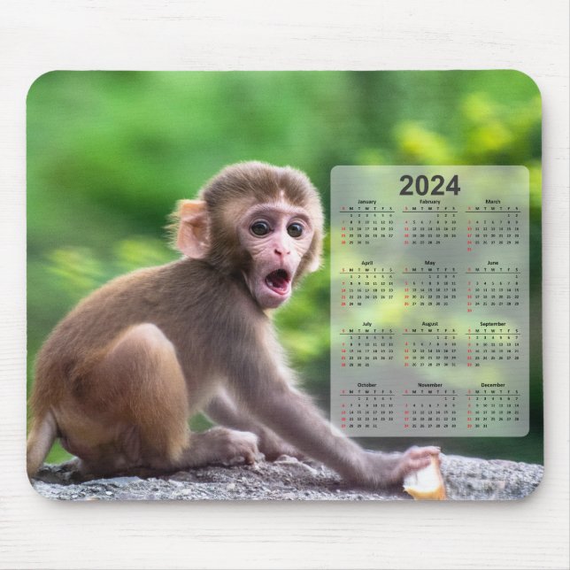 Very Cute Baby Monkey 2024 Calendar Mouse Pad (Front)