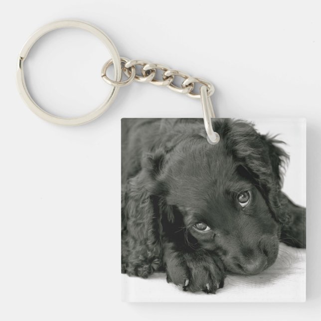 Very cute Spaniel Keychain (Front)