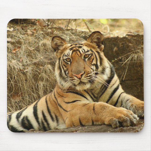 Very Cute Tiger Mouse Mat (Front)