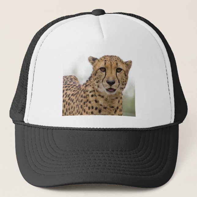 Very Cute Wildlife Hat (Front)