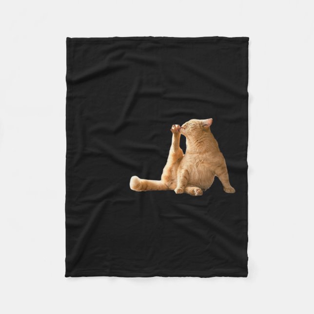 Very Demure Mindful Cly Meme Funny Cat  Fleece Blanket (Front)