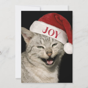 Very Funny  Santa Cat Laugh Photo Christmas Holiday Card