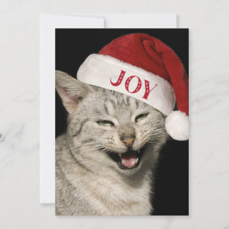 Very Funny Santa Cat Laugh Photo Christmas Holiday Card
