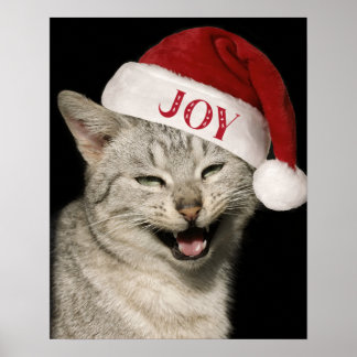 Very Funny Santa Cat Laugh Photo Christmas Poster