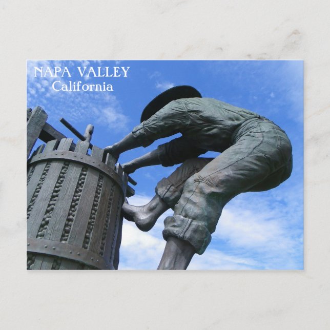 Very Great Napa Valley Postcard! Postcard (Front)